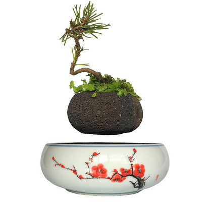 Levitating Air-Floating Bonsai Pot
